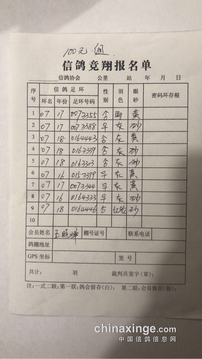 白小姐四肖四码100%准,持久解答解释落实_挑战版63.20.76