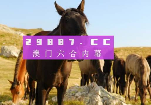 澳门管家婆-肖一码,数字化方案全新探索_耀世版56.92.34