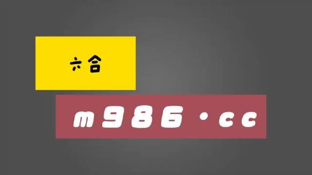 白小姐四肖四码100%准,实施策略科学突破_凌腾版94.33.28